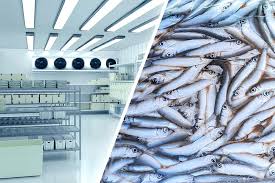 Su Ürünleri Isleme ve Muhafaza Tesisleri Sogutma Sistemleri